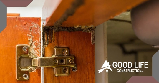 termite damage on door hinge