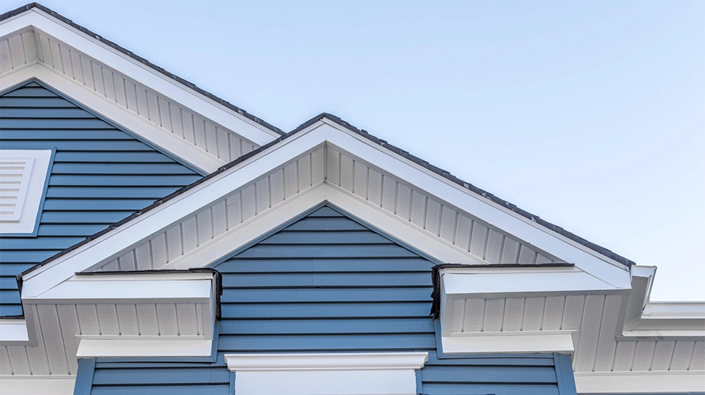 Vinyl Siding