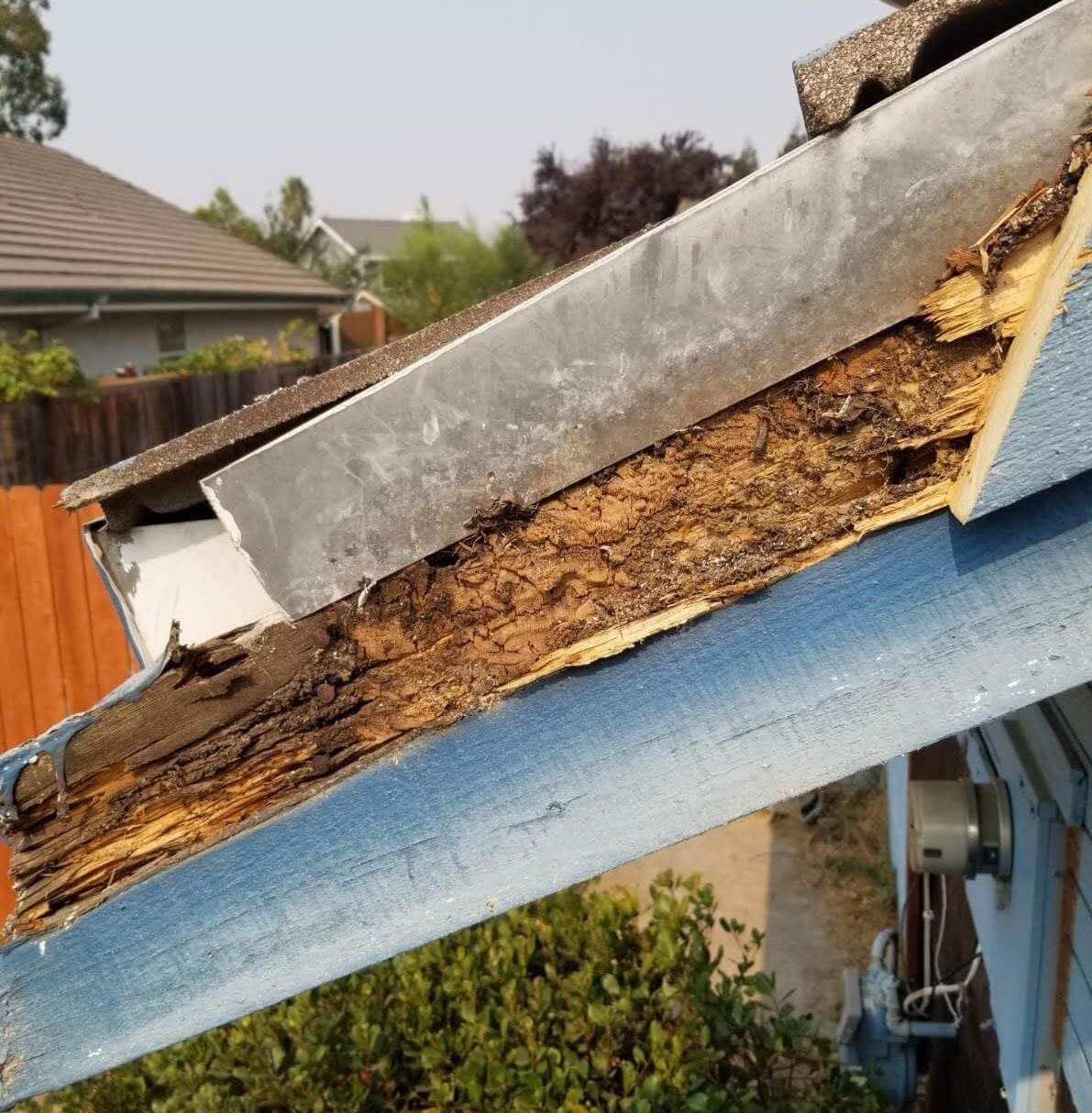 Roof dry rot