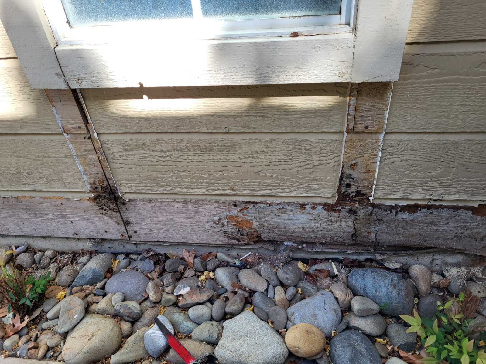 t1-11 siding damaged by dry rot, bottom exterior of the home