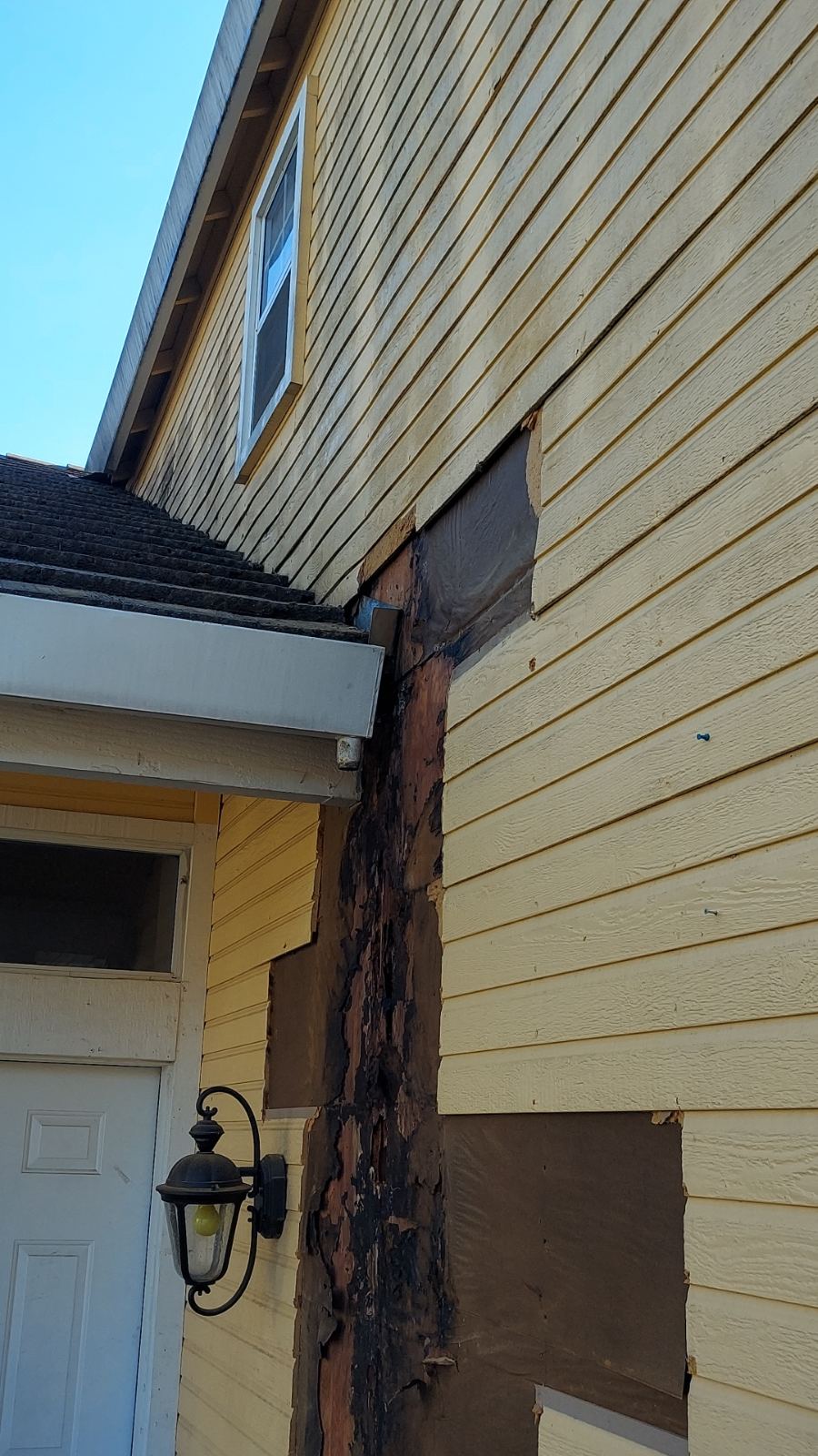 Water leak near gutter caused damage on the sheer wall beneath the siding Photo