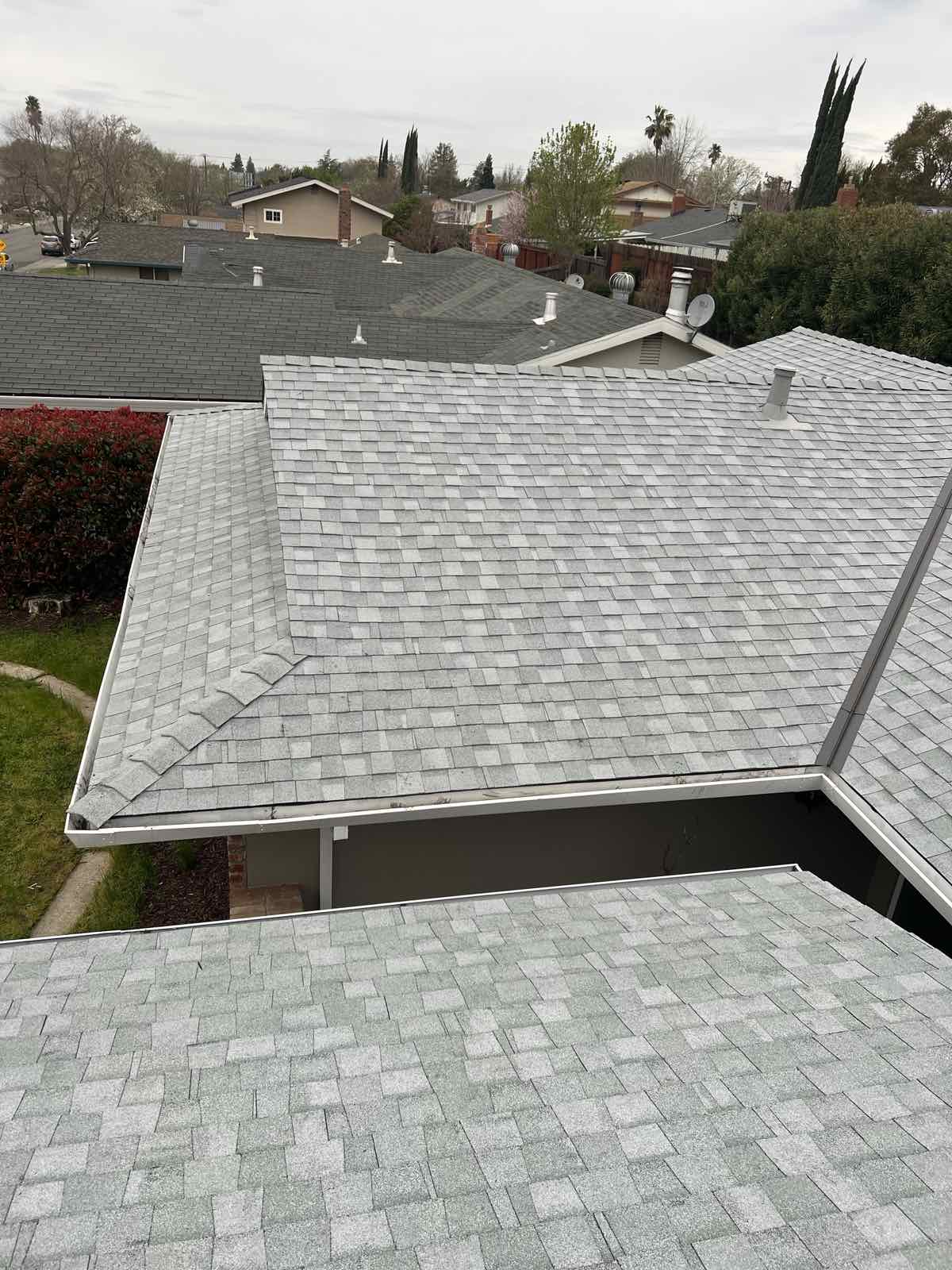shingle roof replacement Photo