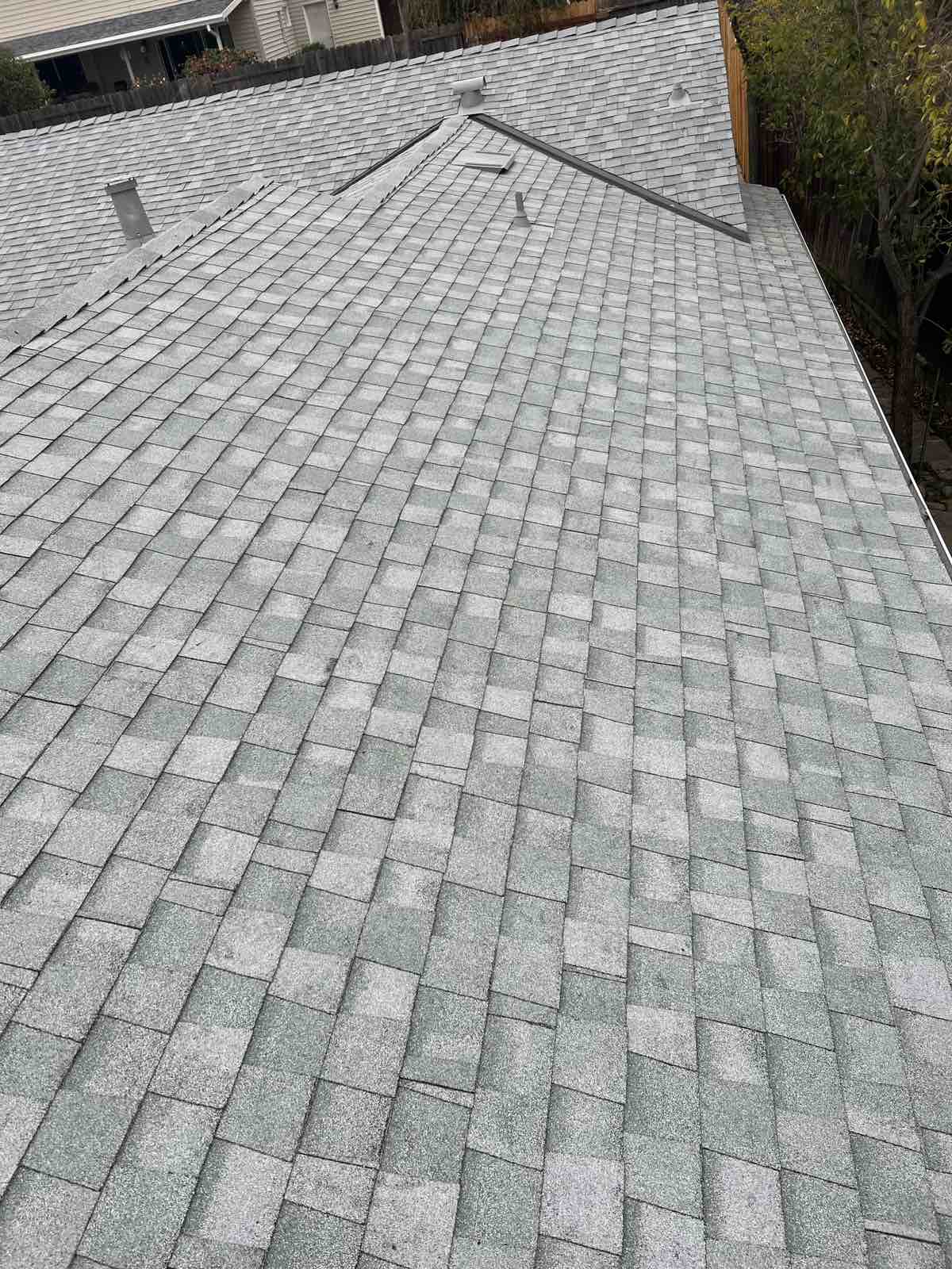 asphalt roof replacement Photo