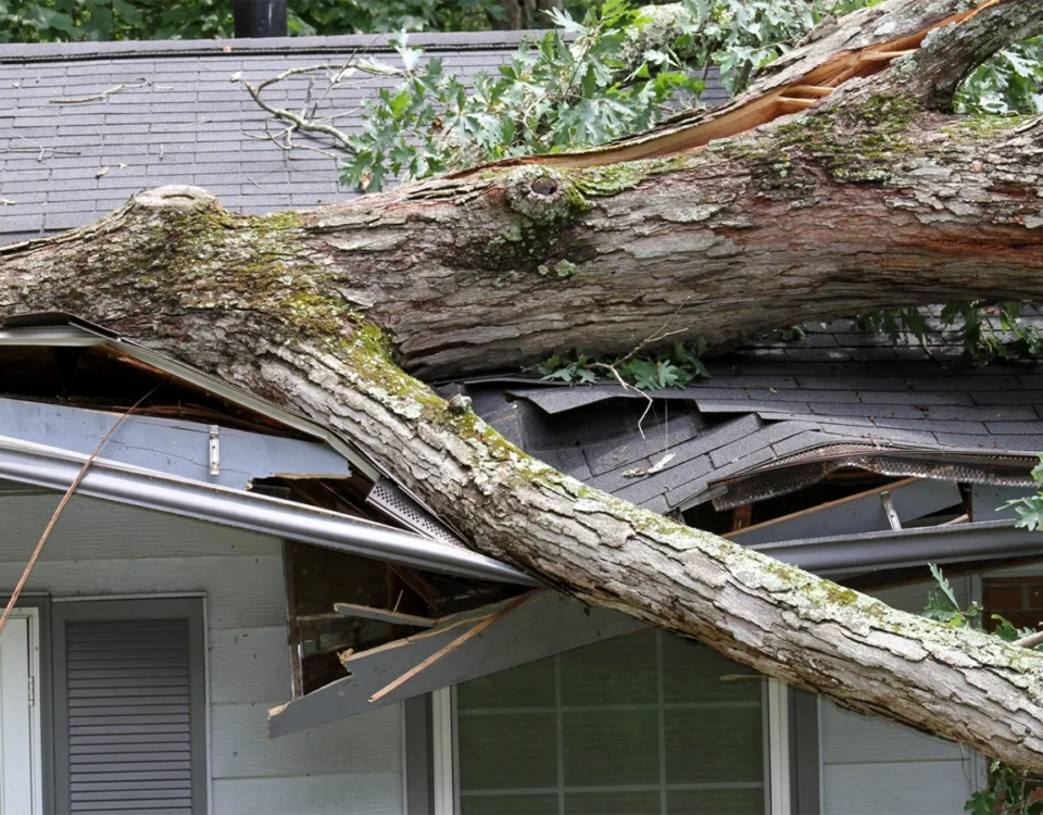 will be wind damage covered by insurance